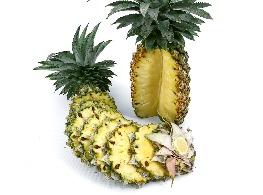 สับปะรดปัตตาเวีย