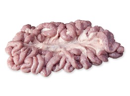 ไส้อ่อนหมู