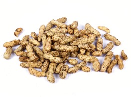 ถั่วพื้นเมืองต้ม