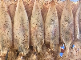 ปลาหมึกแพ (ไม่มีไข่)