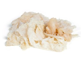 แมงกะพรุน