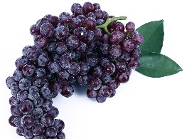 องุ่นดำ