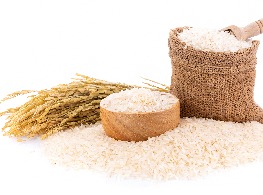 ข้าวขาวผสมข้าวหอมมะลิแท้ตราดอกดาวเรือง