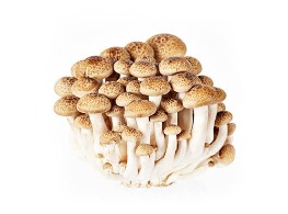 เห็ดชิเมจิน้ำตาล