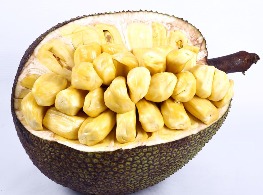 ขนุนทองประเสริฐ