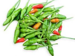 พริกสวนตุ้มเด็ด