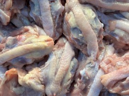 โครงล่างไก่+กล่องโฟม