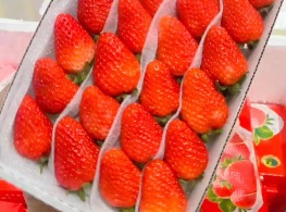 สตอเบอรี่จีน