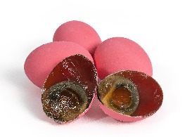 ไข่เยี่ยวม้า