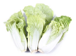 ผักกาดขาว(ลุ้ย)จีน พันธุ์หางหงส์เบบี้