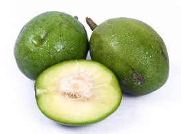 มะกอกฝรั่ง