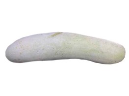 ฟักแก่บางระจัน