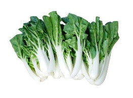 ผักฉ่อย