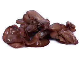 เห็ดหูหนู