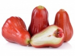 ชมพู่ทับทิมจันทร์