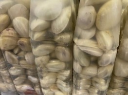 สะตอดองขวด