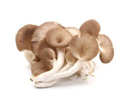 เห็ดภูฎาน