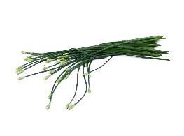 ดอกกุยช่าย