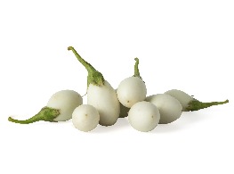 มะเขือไข่เต่า