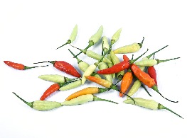 พริกป๊อบ