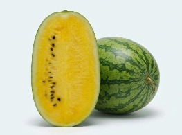แตงโมเนื้อสีเหลือง แอมเบอร์โกลด์