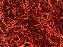 พริกยอดสนแห้ง เด็ดขั้ว