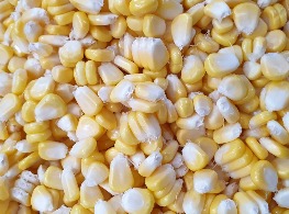 ข้าวโพดหวานบริกซ์ 3 แกะเมล็ด