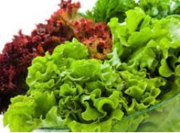 ผักสลัดผสม