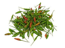 พริกขี้หนูสวน เม็ดเล็ก (เขียวล้วน)