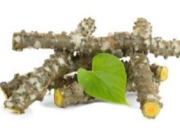 บอระเพ็ด