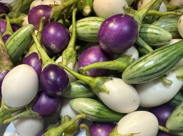 มะเขือสามสี