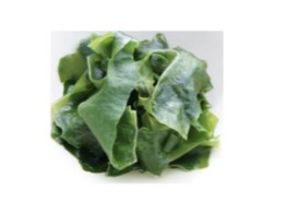 สาหร่ายวากาเมะ