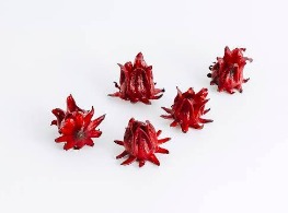 กระเจี๊ยบแดง