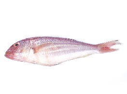 ปลาแดงสด