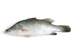 เนื้อปลากะพง