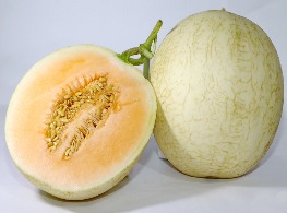 แคนตาลูปเนื้อส้ม