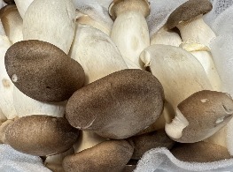 เห็ดออรินจิ (คัดพิเศษ)