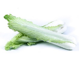 ผักกาดหางหงษ์