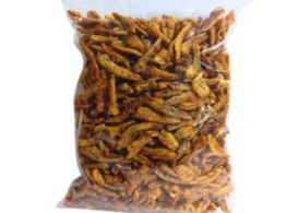 ปลากรอบ (ไม่มีงา)