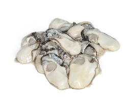 หอยนางรม