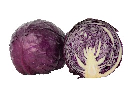 กะหล่ำปลีม่วงจีน