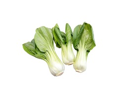 บ๊อกฉ่อย