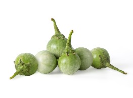 มะเขือเปราะ