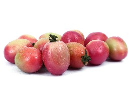 มะเขือเทศสีดา