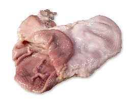 กระเพาะหมู