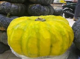 ฟักทองปอกเปลือก