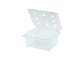 กล่องพลาสติกใส่ผลไม้เจาะรู (1 KG.) ตรา EPP