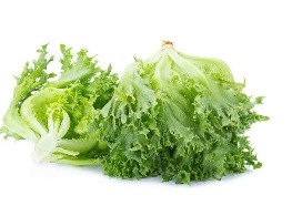 ฟิลเล่ย์