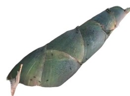 หน่อไม้กิมซุง