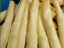 หน่อไม้คายต้ม